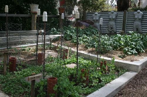 Vegetable Garden